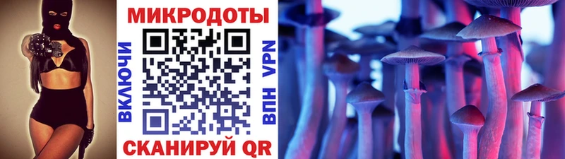 Галлюциногенные грибы мицелий  магазин    Заозёрный 